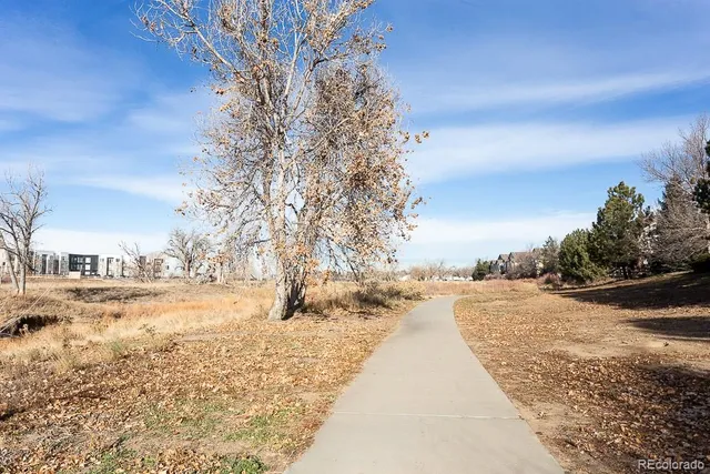 a view of a yard with snow on the road