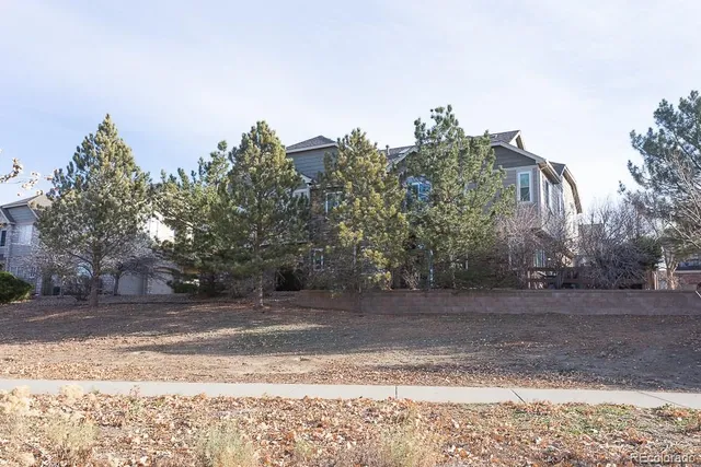 a view of a yard with a house in the background