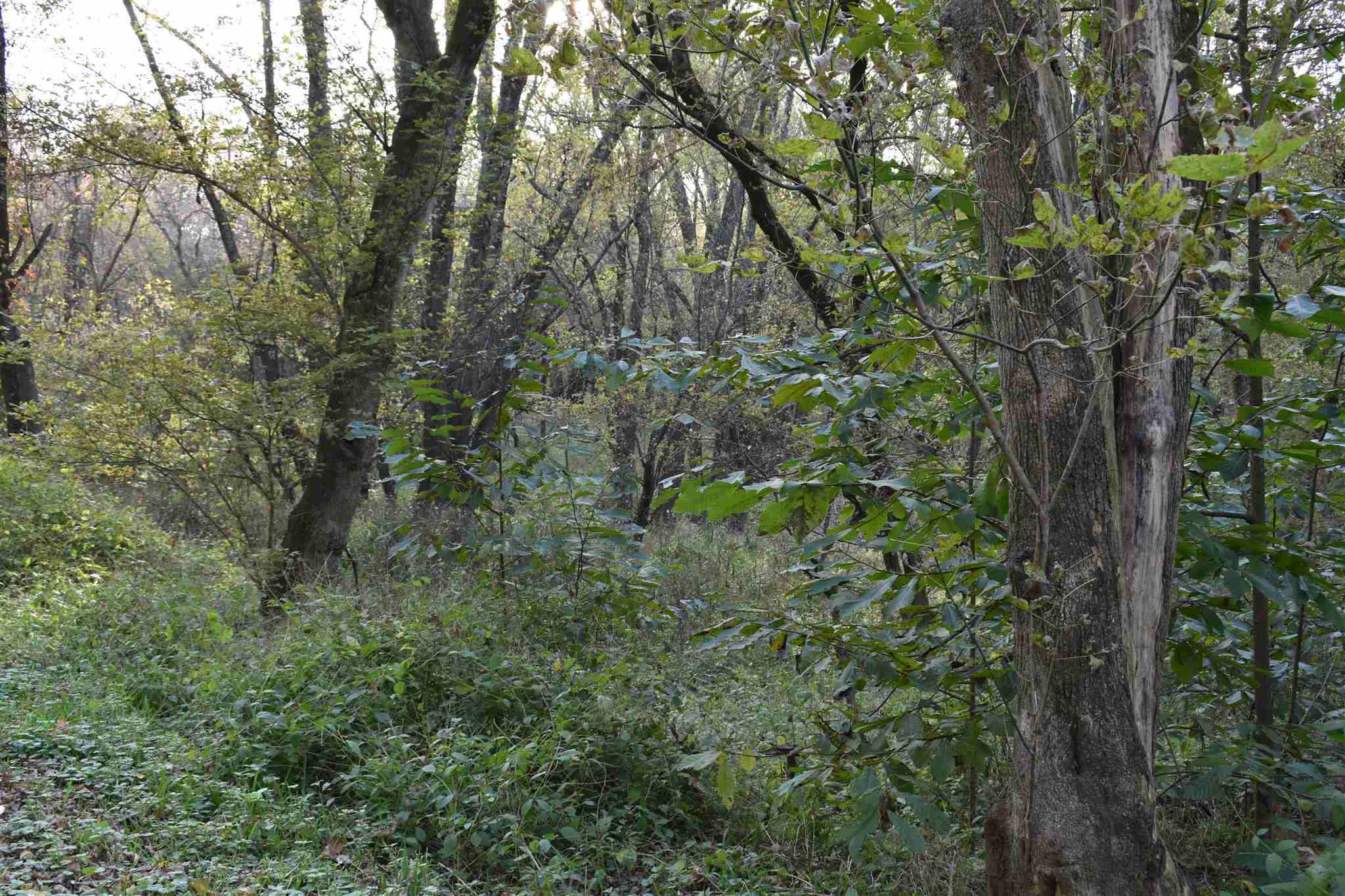 Rabbit Hash Rd Union Burlington, KY 41005 - Photo 16 of 24 Gallery Image 16