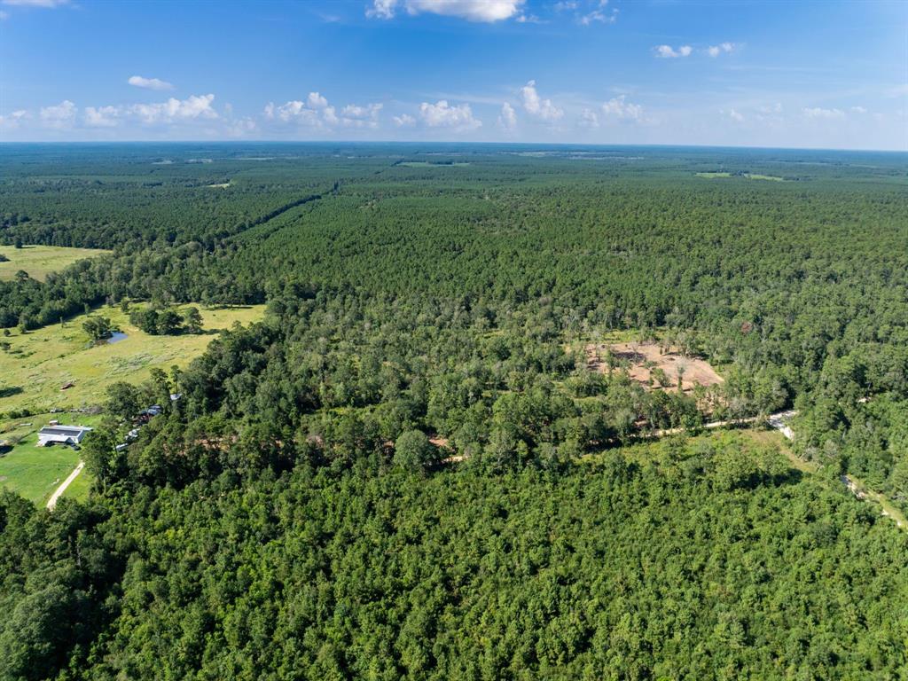 Aerial overview of property's location with a forest