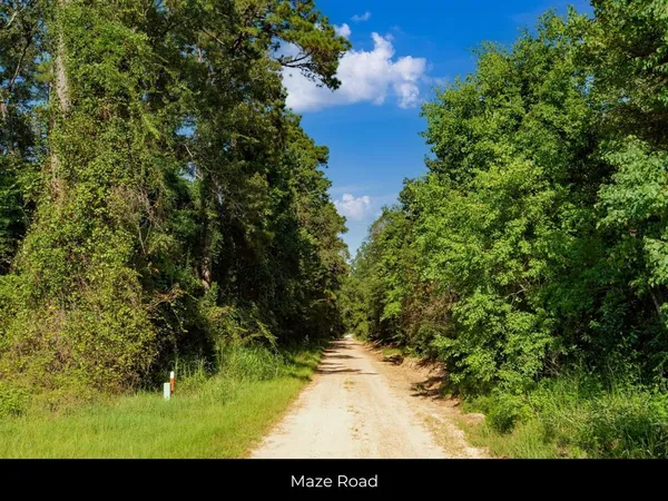 $159,997 | 262 Maze Road, Livingston, TX 77351