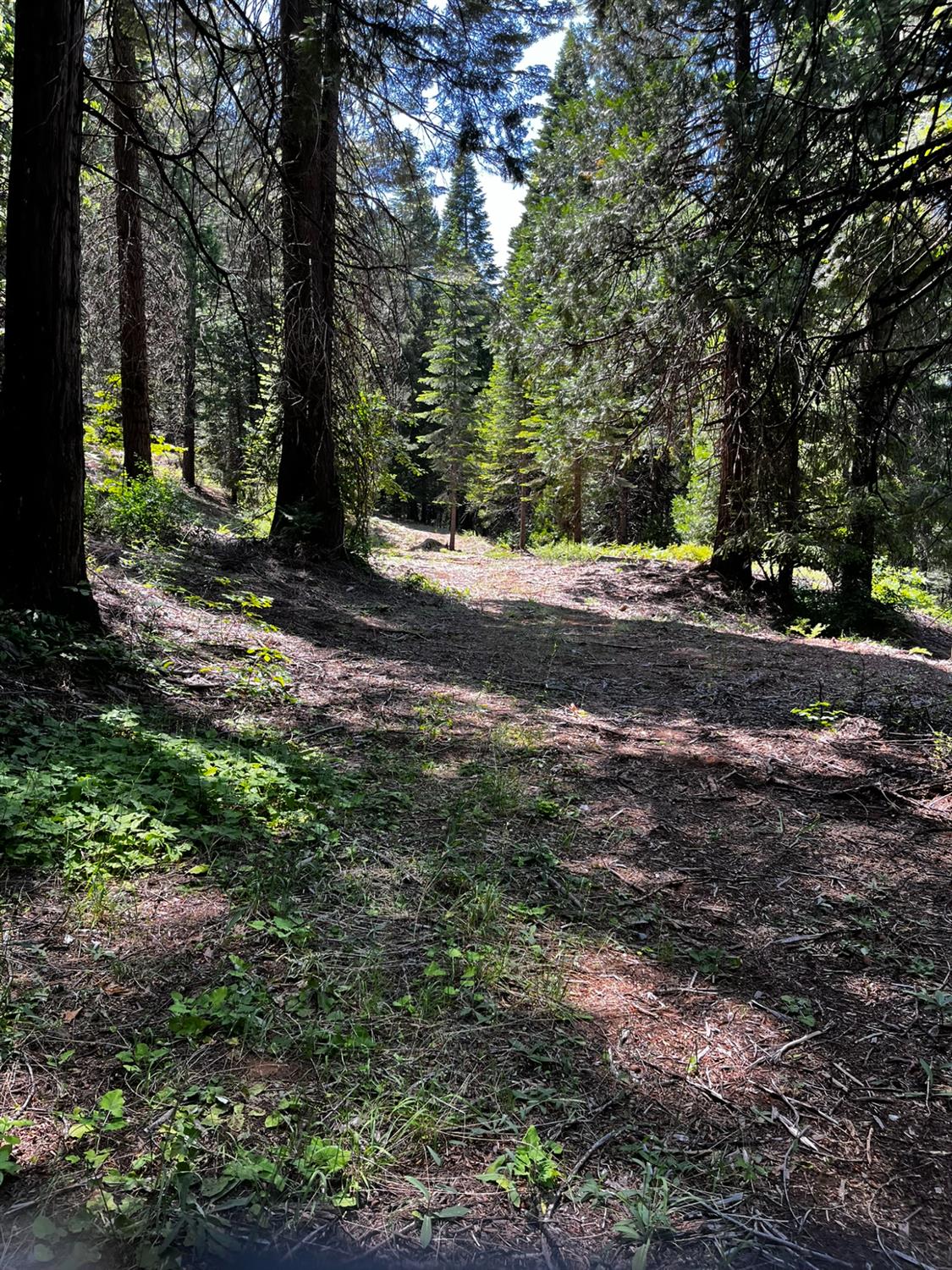 1 Usfs 8bn54 Road Pioneer, CA 95666 - Photo 42 of 51