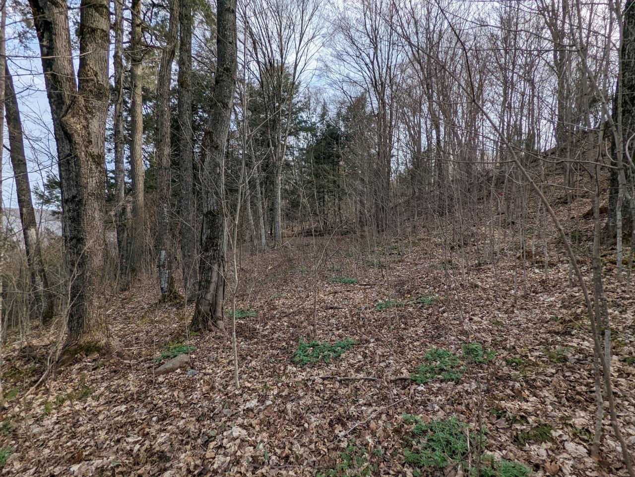 Lot 7 Spiritview Lane Rib Lake, WI 54470 - Photo 7 of 14 Gallery Image 7