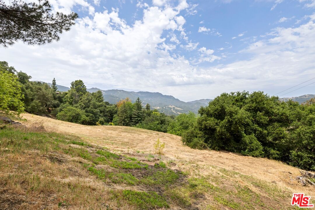 0 Colina Drive Topanga, CA 90290 - Photo 2 of 9 a view of a dry yard with plants and a large tree