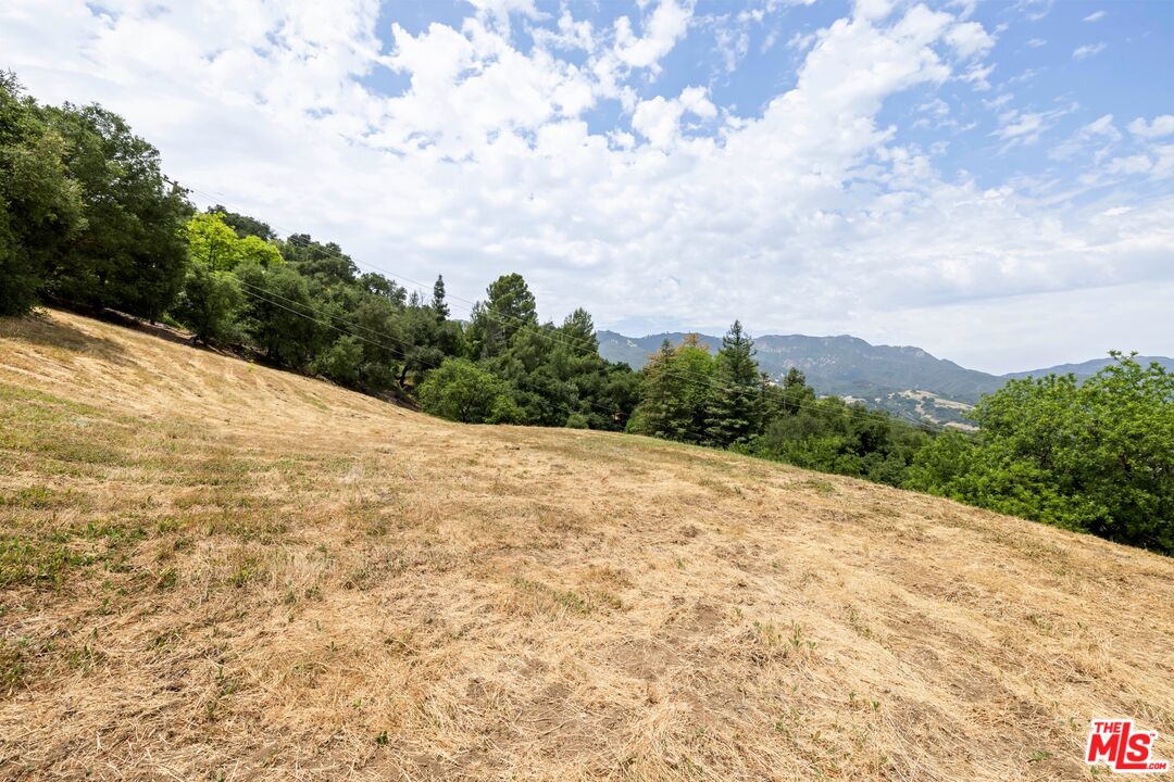 0 Colina Drive Topanga, CA 90290 - Photo 3 of 9 a view of a dry yard with trees