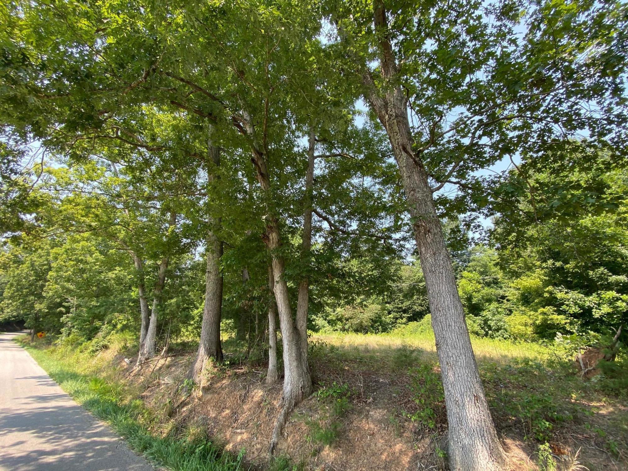 2262 Opossum Run Road Irvine, KY 40336 - Photo 6 of 7 IMG_9766