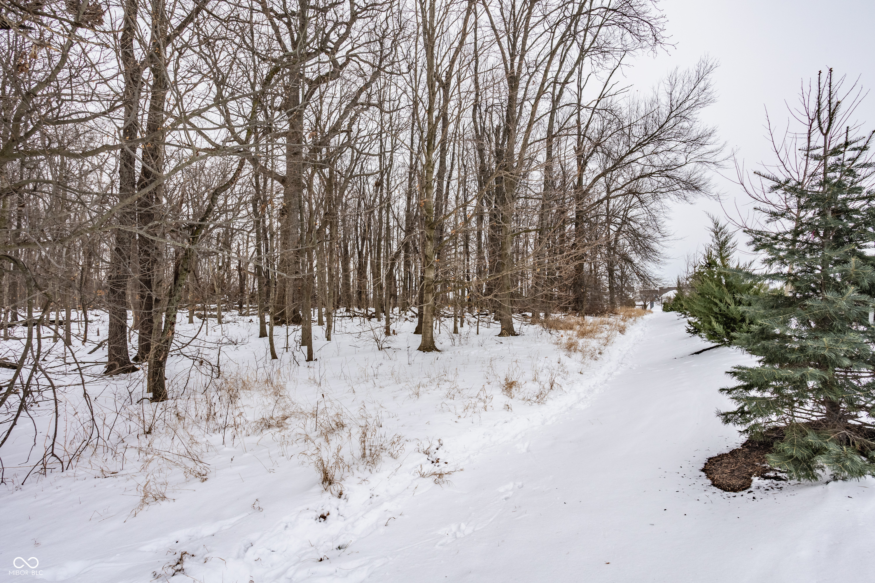20429 Atchison Way Westfield, IN 46074 - Photo 33 of 35