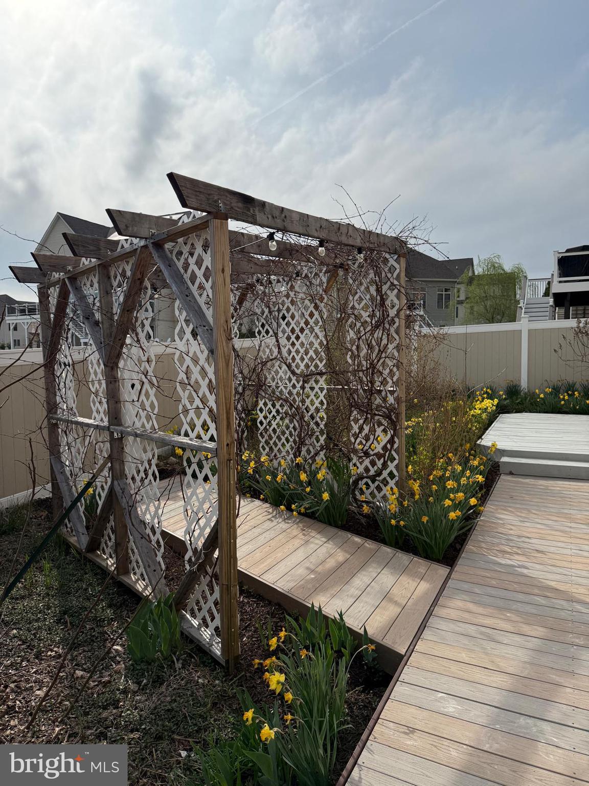 1108 Autumn Brook Avenue Silver Spring, MD 20906 - Photo 20 of 68 Backyard Garden