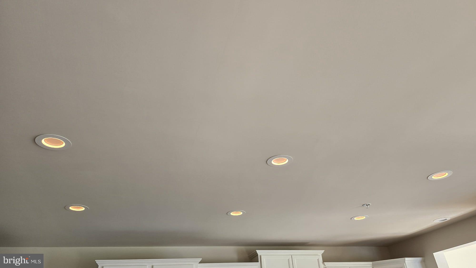 1108 Autumn Brook Avenue Silver Spring, MD 20906 - Photo 4 of 68 Main Level - Kitchen Ceiling Two Mode Lights