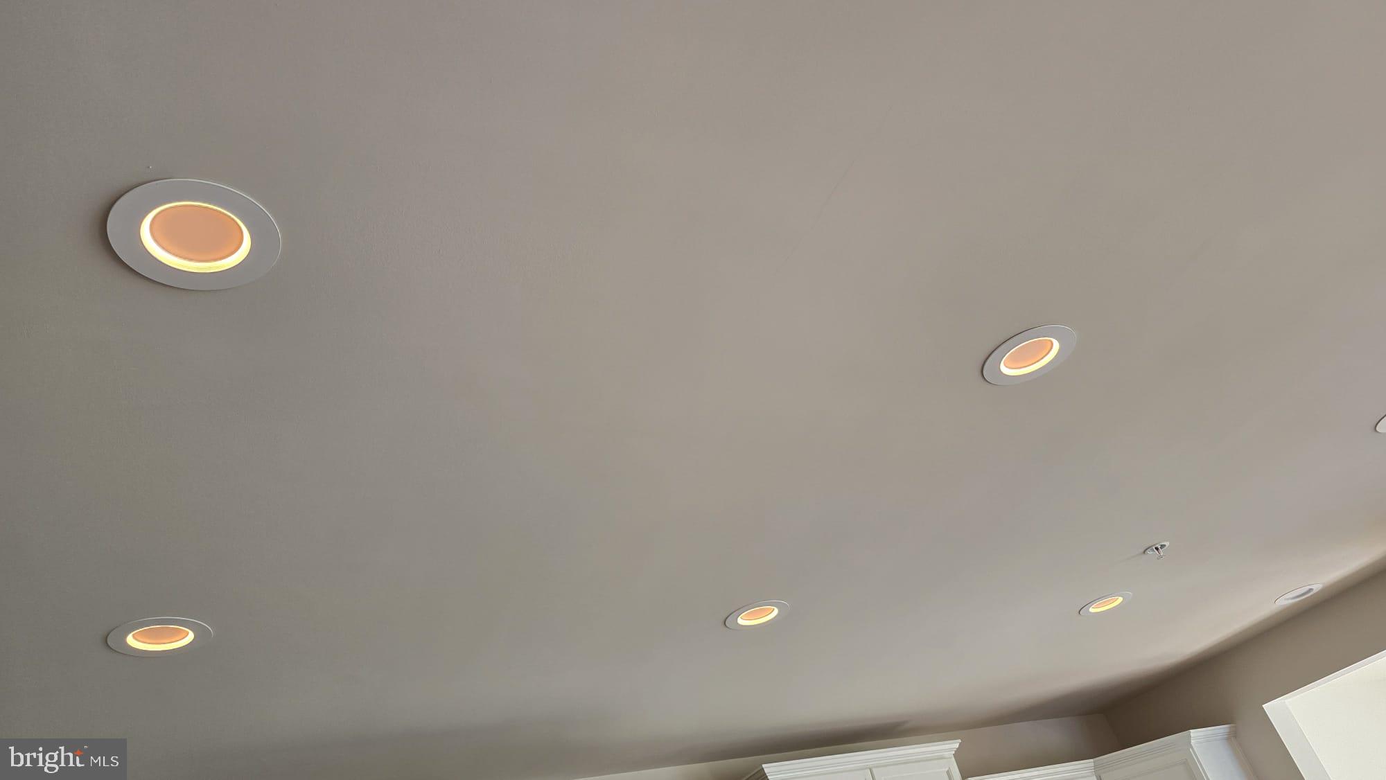 1108 Autumn Brook Avenue Silver Spring, MD 20906 - Photo 5 of 68 Main Level - Kitchen Ceiling Two Mode Lights