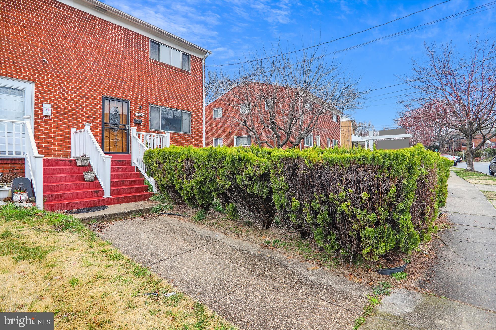 11902 Dalewood Drive Silver Spring, MD 20902 - Photo 3 of 49 Front yard w/privacy hedge