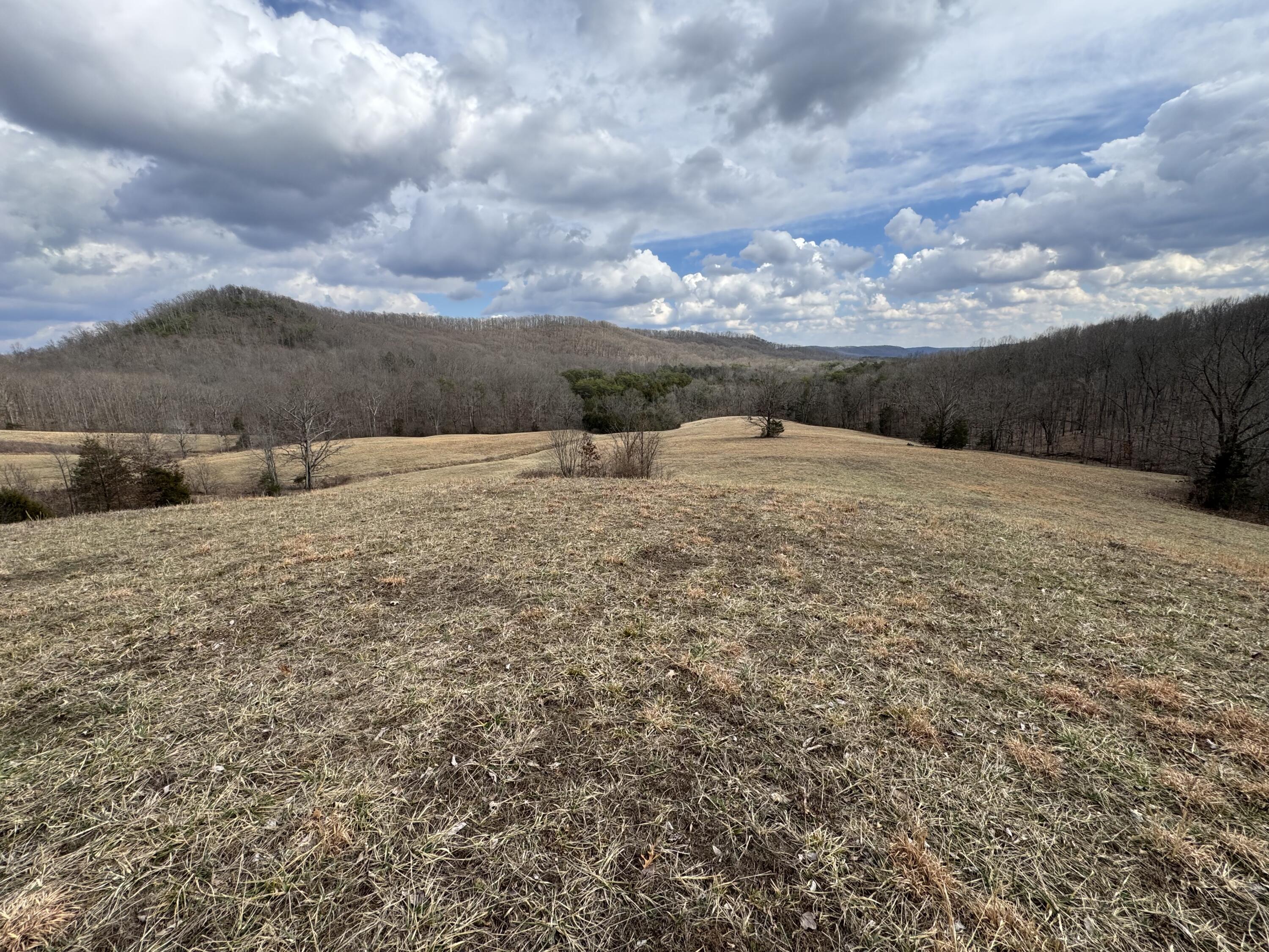 0 Ringos Mills Road Hillsboro, KY 41049 - Photo 1 of 19 IMG_3714 2