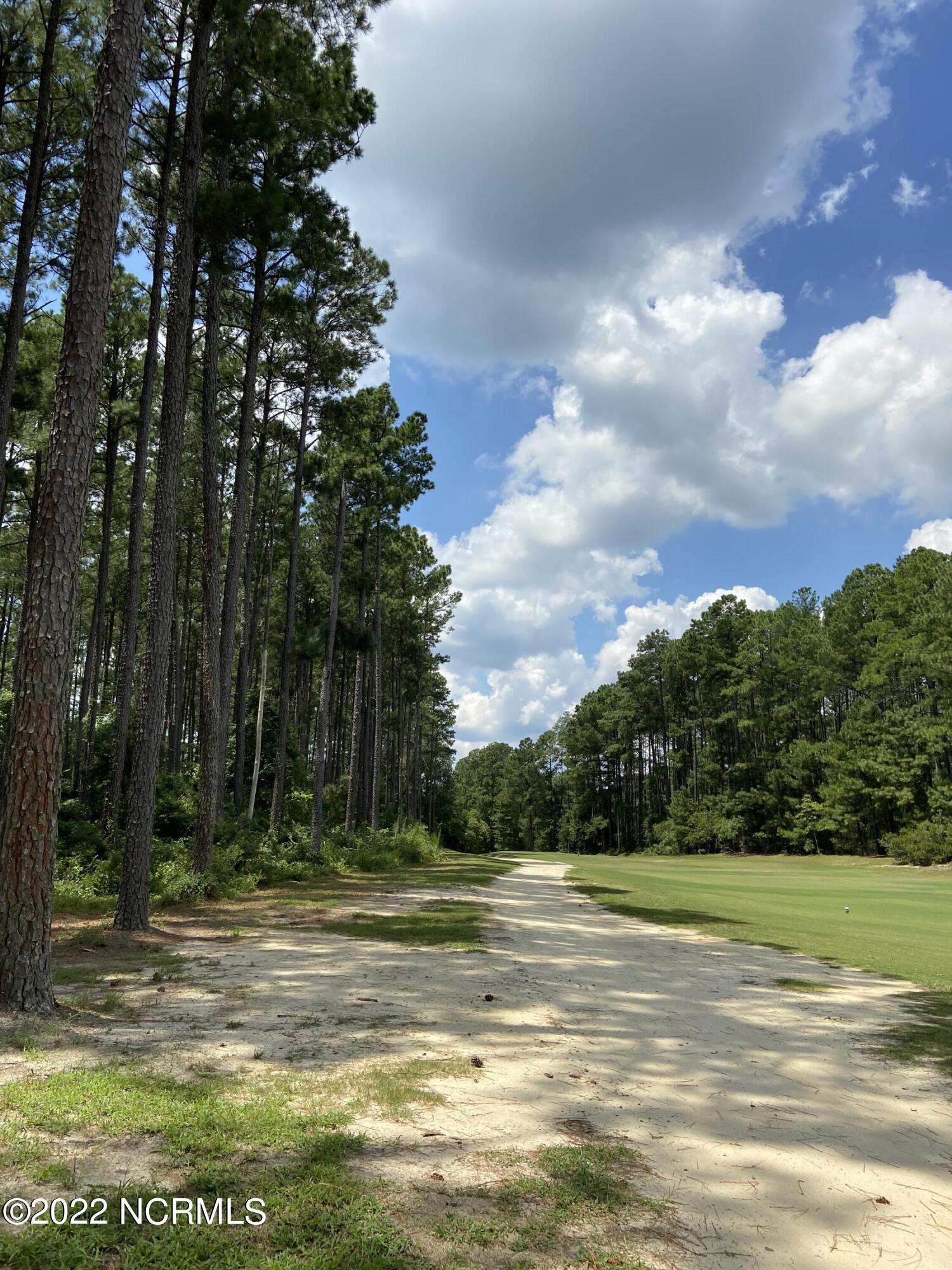 5 Rabbit Run Court Wagram, NC 28396 - Photo 6 of 14 cart path