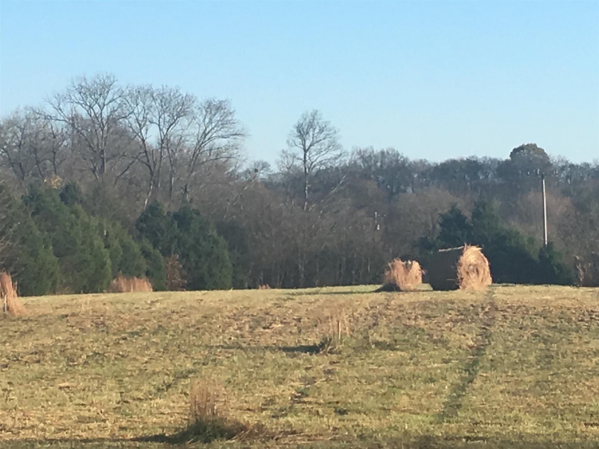 0 Center Point Road Hendersonville, TN 37075 - Photo 2 of 3 a view of a dry yard covered with snow in the background