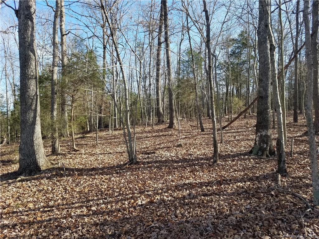 40871 Ridenhour Road Gold Hill, NC 28071 - Photo 15 of 45 Gallery Image 15