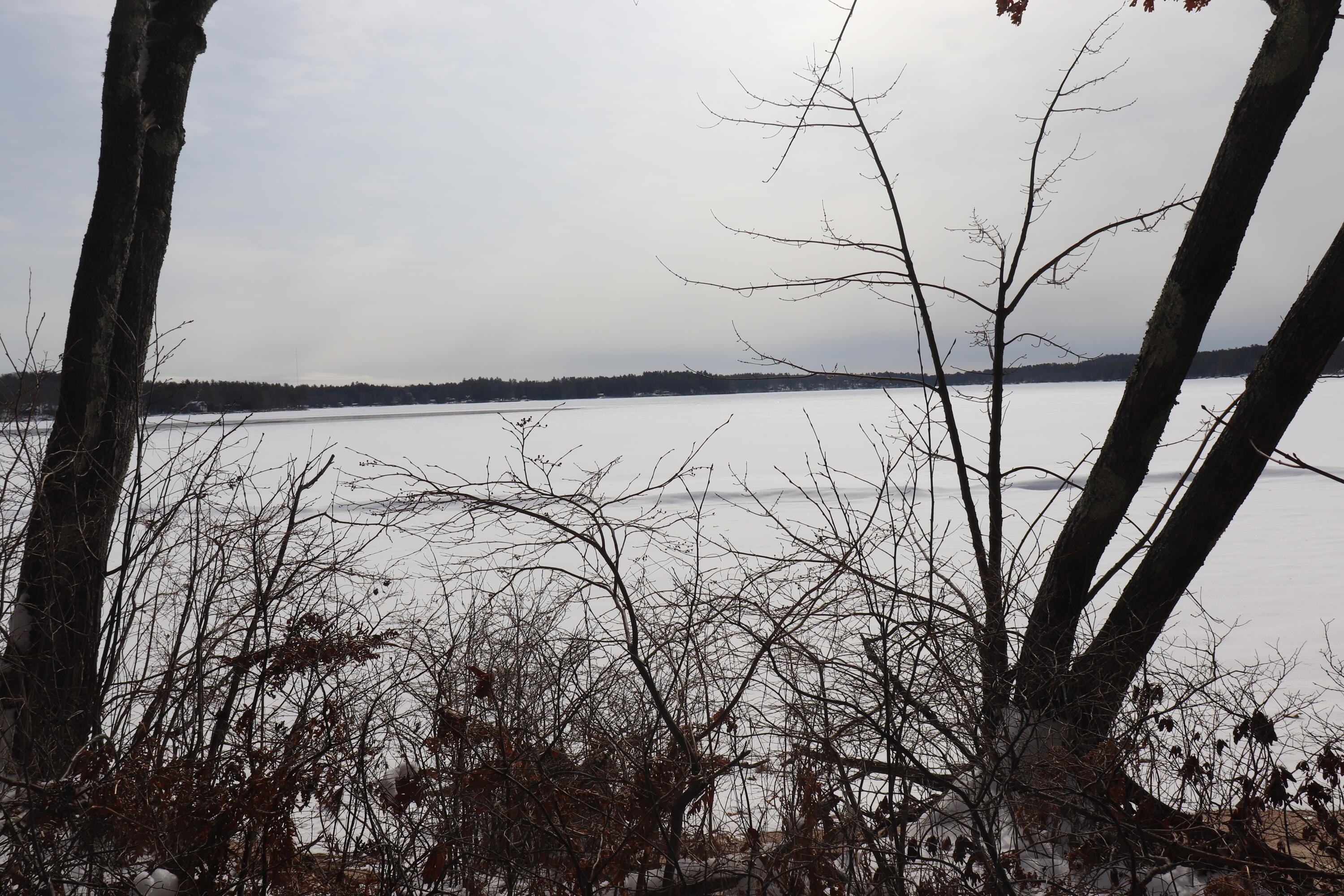 Tbd Steamboat Landing Road Naples, ME 04055 - Photo 15 of 20 IMG_5758