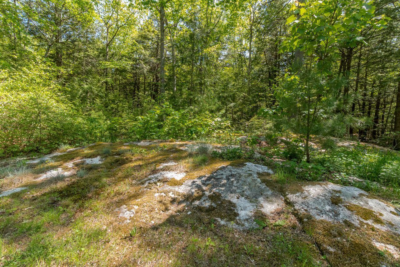 552 Blackstrap Road Falmouth, ME 04105 - Photo 36 of 39 36