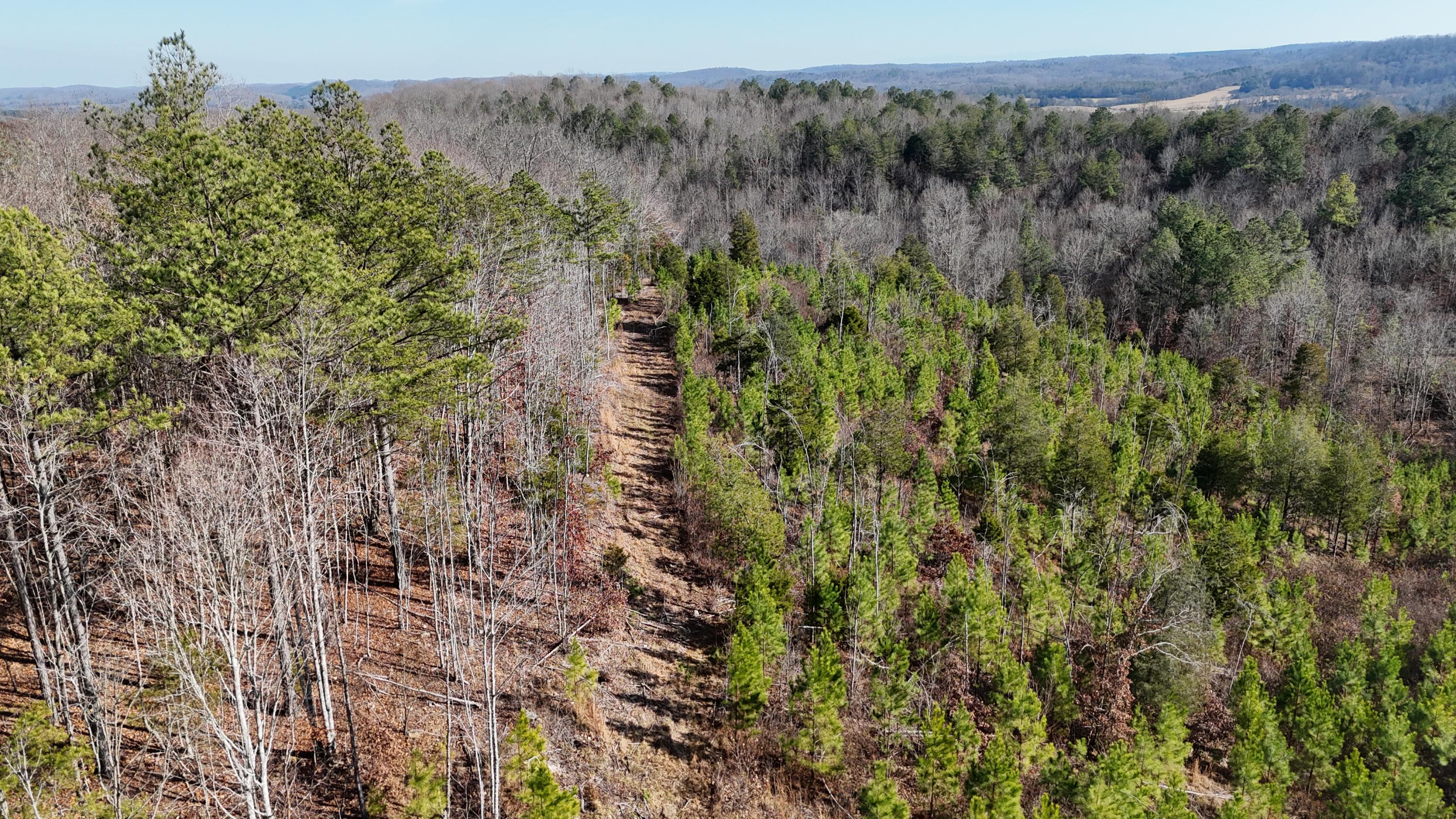 0 Big Sewee Road Decatur, TN 37322 - Photo 10 of 23 DJI_20251212132711_0131_D