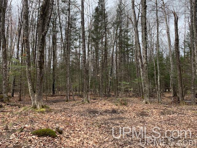 10649 I Road Cornell, MI 49818 - Photo 16 of 49