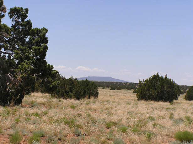 377 Chevelon Canyon Ranch, Unit 377 Overgaard, AZ 85933 - Photo 1 of 2 Primary Photo