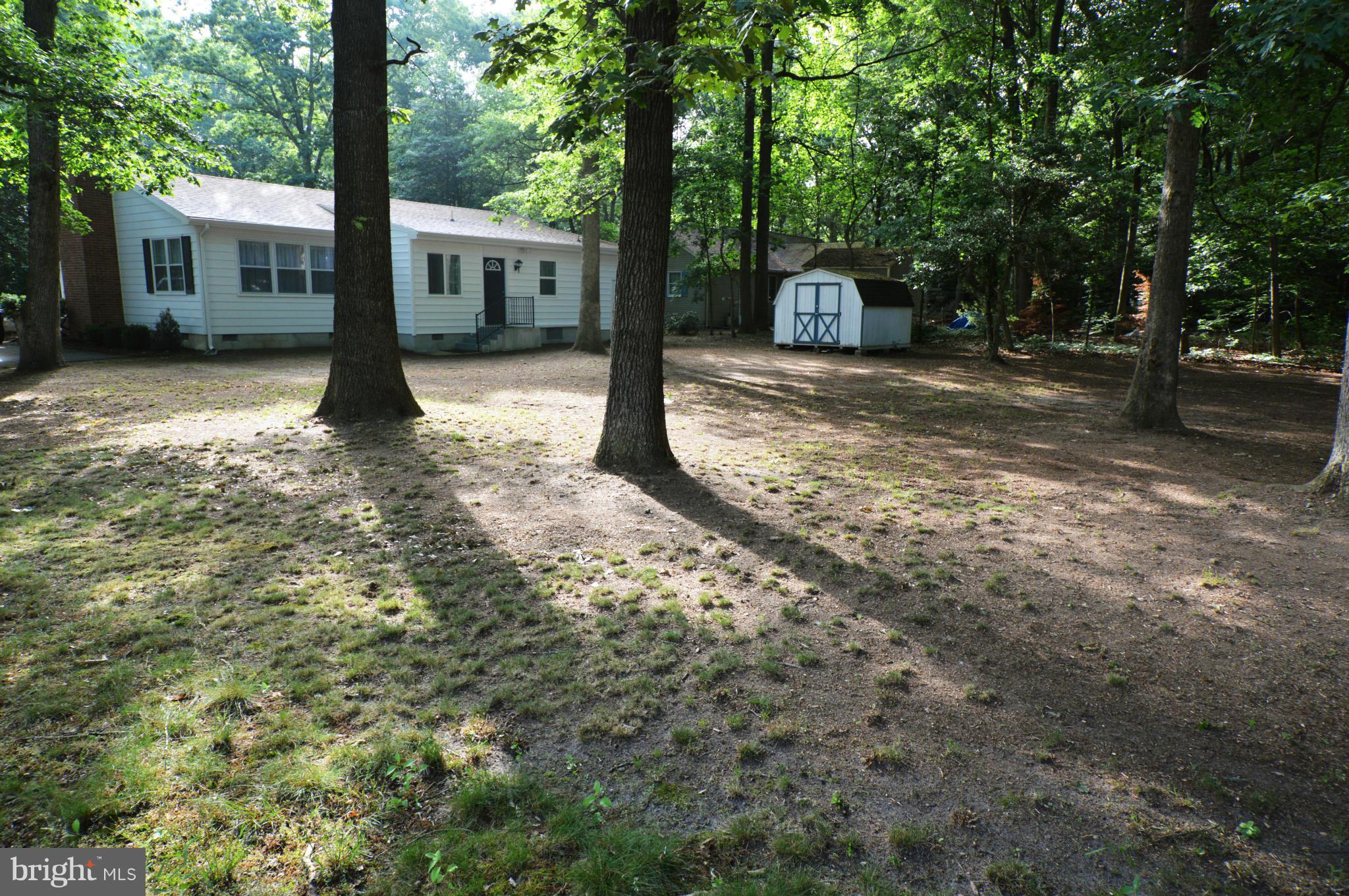 2846 Meadowbrook Road Federalsburg, MD 21632 - Photo 25 of 30 Shady Back Yard