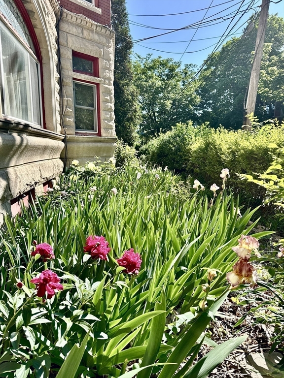 9 Verndale Street, Unit 2 Brookline, MA 02446 - Photo 30 of 39 a view of a house with a flower garden