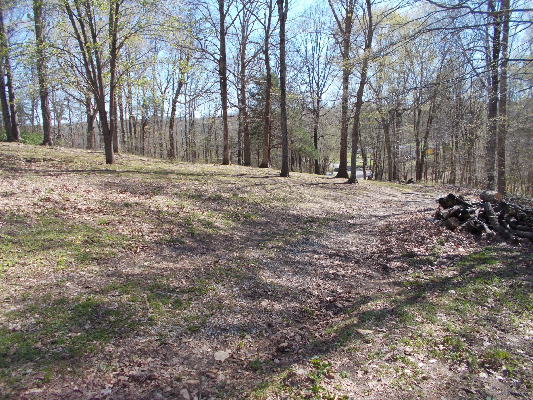 345 Stage Road Charlotte, TN 37036 - Photo 35 of 38 Gallery Image 35