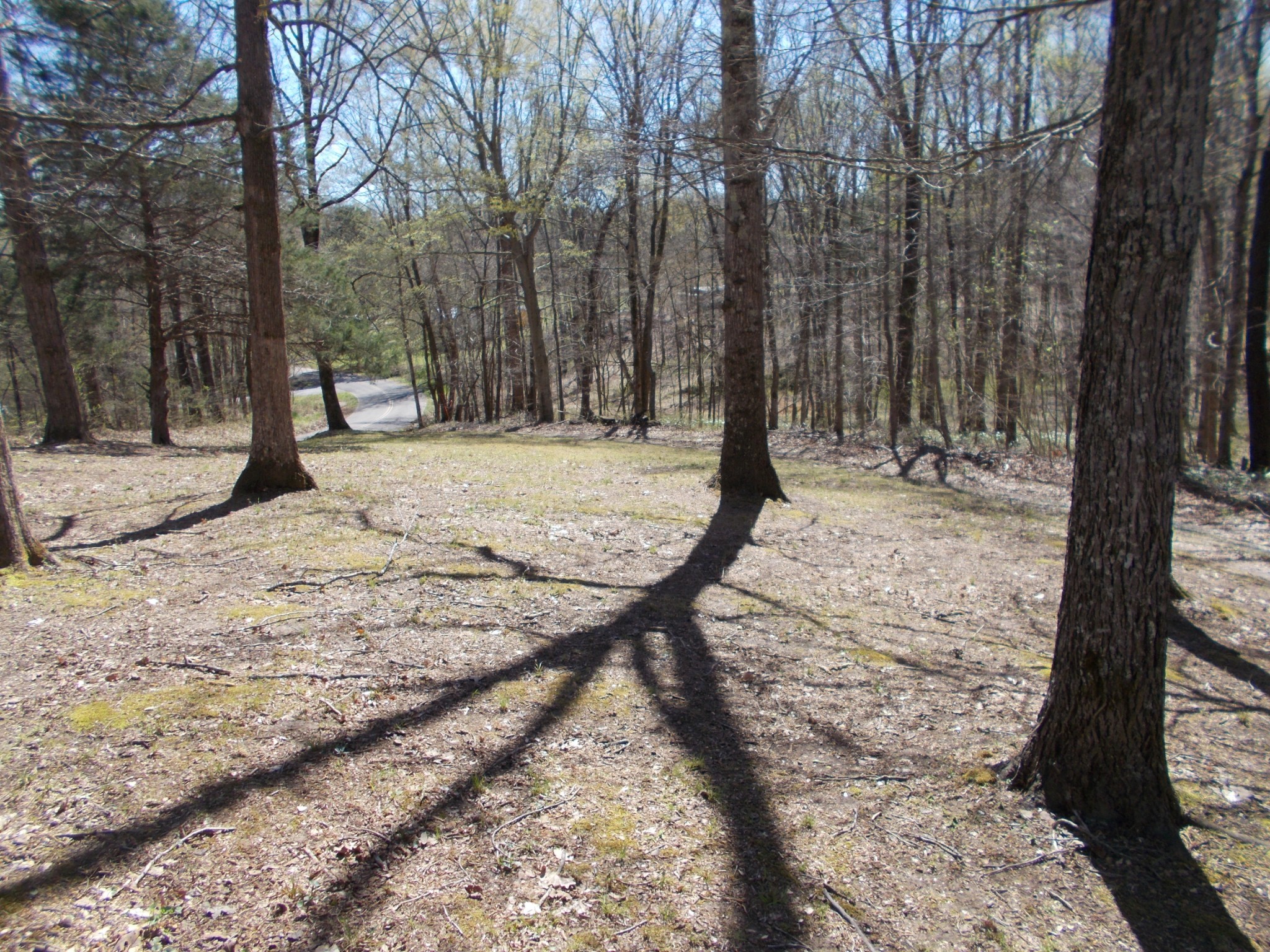345 Stage Road Charlotte, TN 37036 - Photo 36 of 38 Gallery Image 36