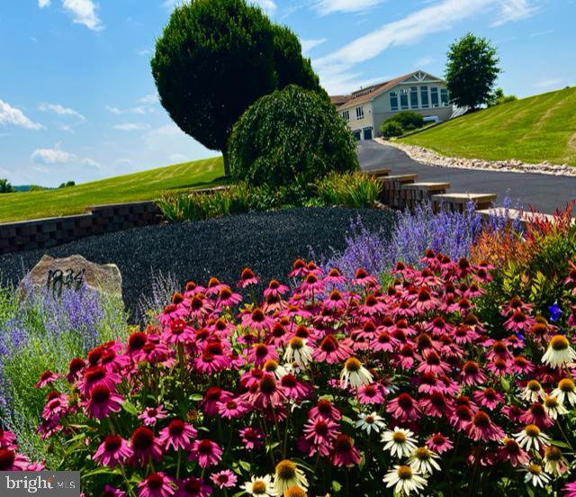 1934 Quicksburg Road Quicksburg, VA 22847 - Photo 103 of 103 a view of a bunch of flowers