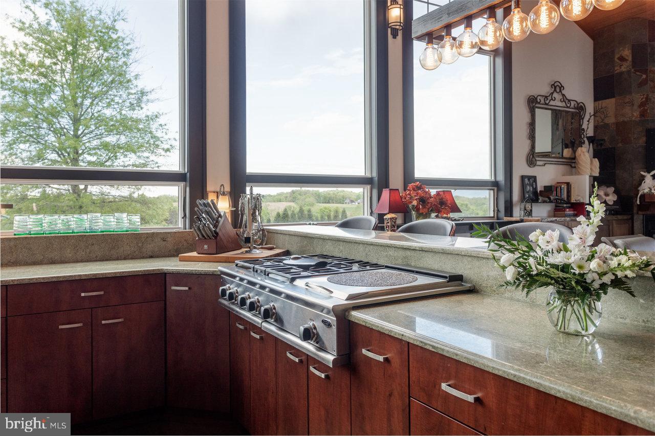 1934 Quicksburg Road Quicksburg, VA 22847 - Photo 15 of 103