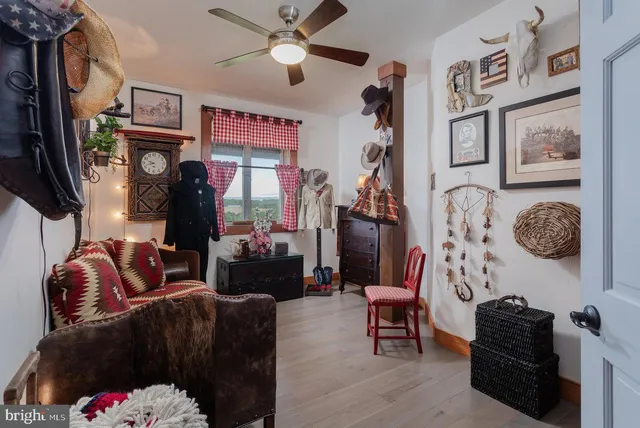 a view of a forest with a tree