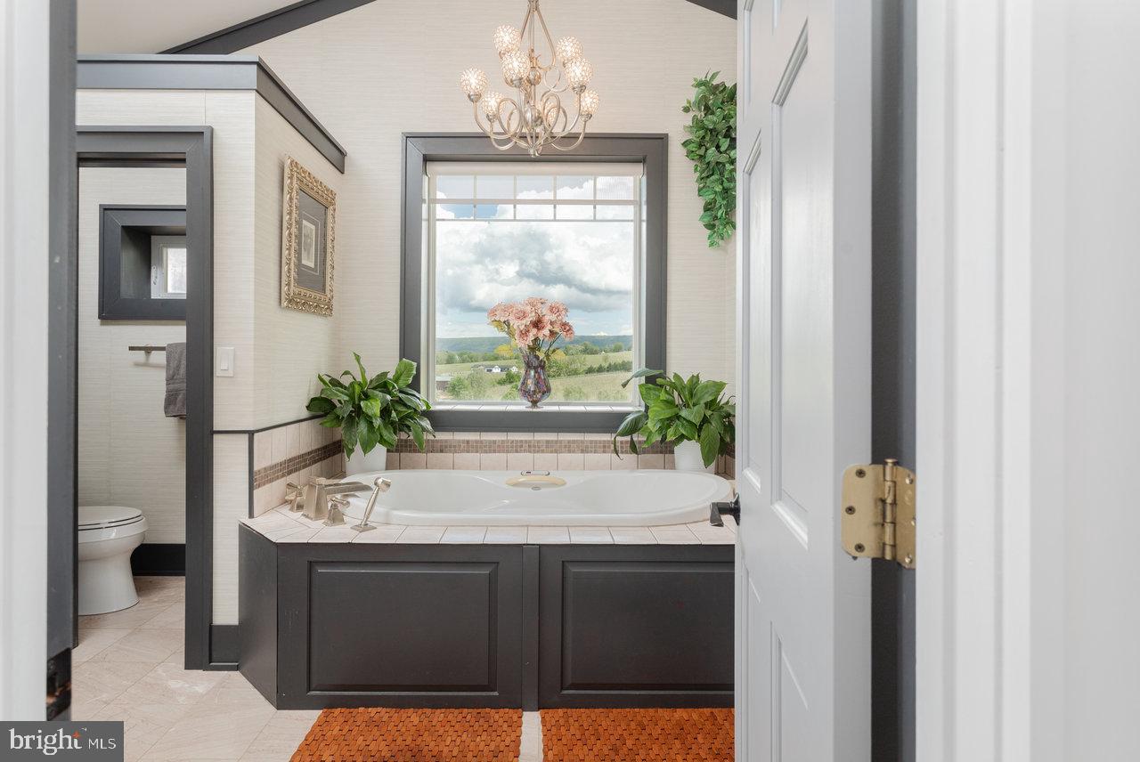 1934 Quicksburg Road Quicksburg, VA 22847 - Photo 53 of 103