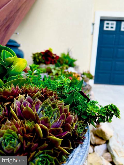 1934 Quicksburg Road Quicksburg, VA 22847 - Photo 83 of 103