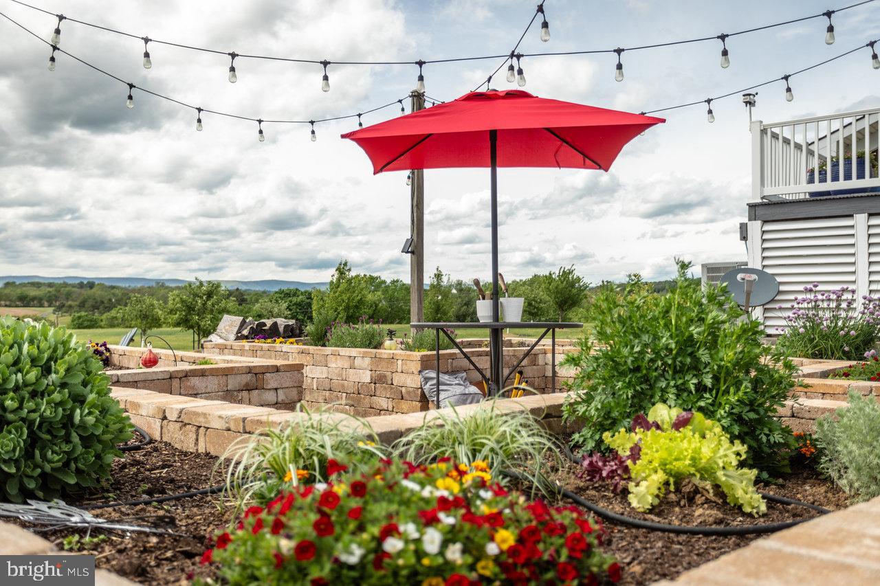 1934 Quicksburg Road Quicksburg, VA 22847 - Photo 97 of 103