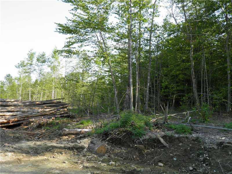 860 Fairbanks Road Farmington, ME 04938 - Photo 3 of 16 Land/Lot.