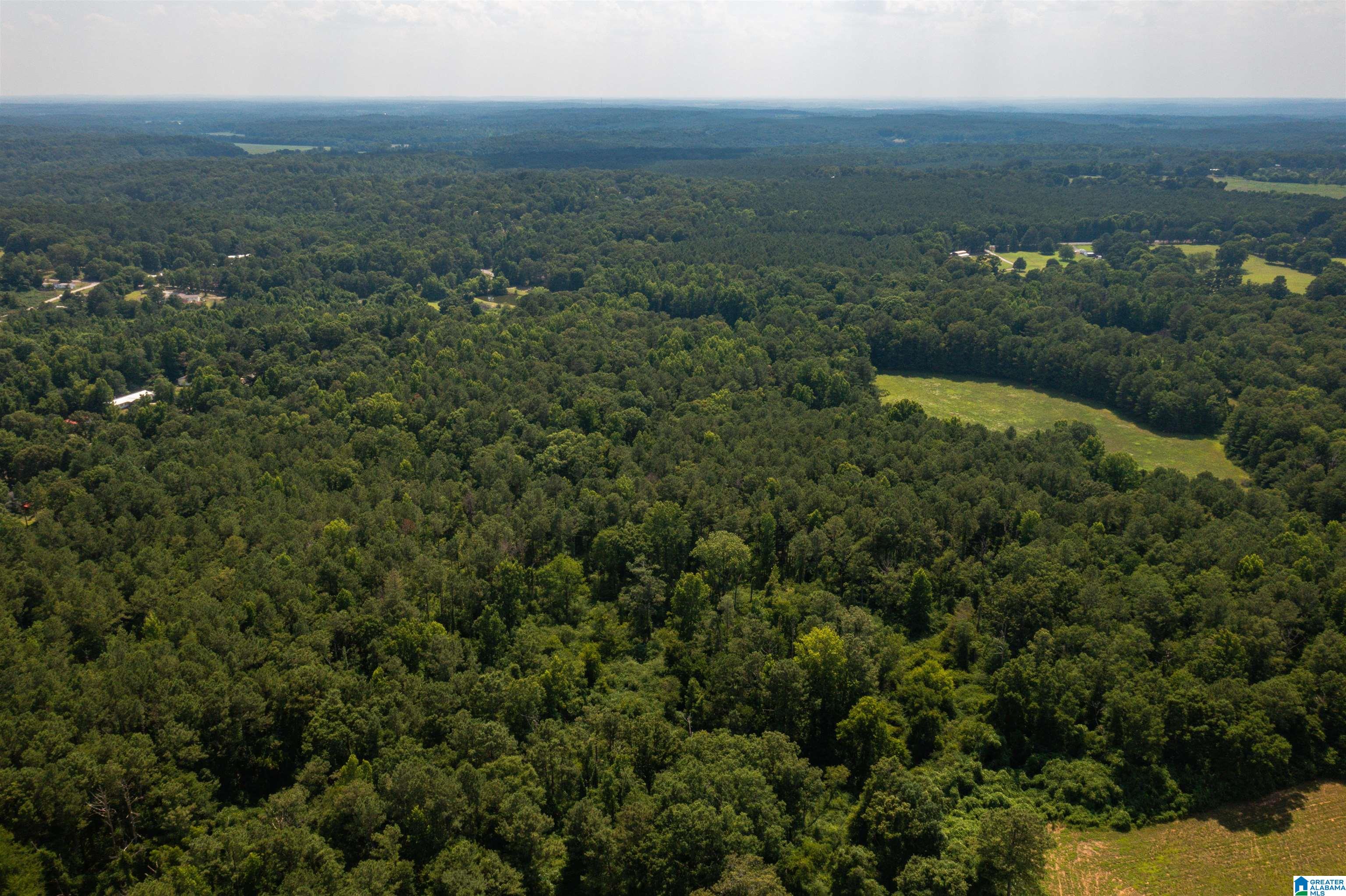 155 Highway Montevallo Al, Unit 1 Montevallo, AL 35115 - Photo 13 of 24
