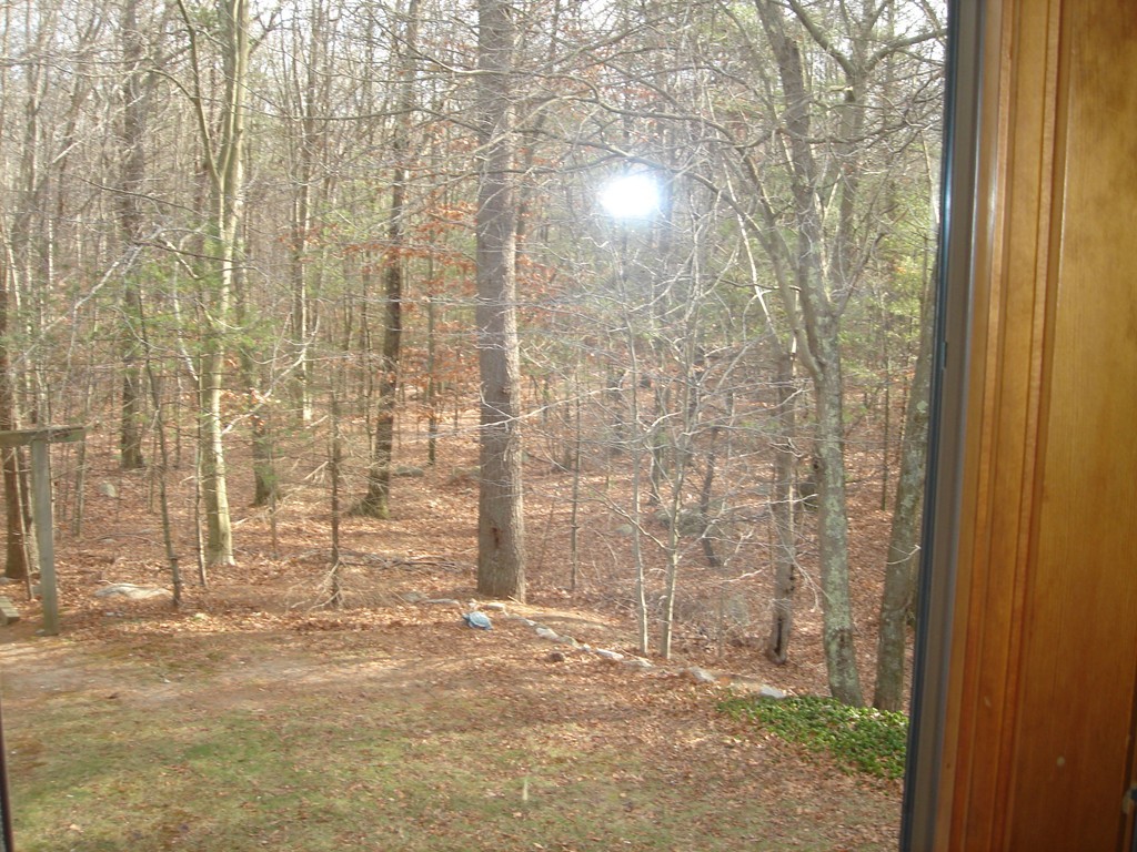 5 Cheshire Road Sharon, MA 02067 - Photo 17 of 17 Gallery Image 17