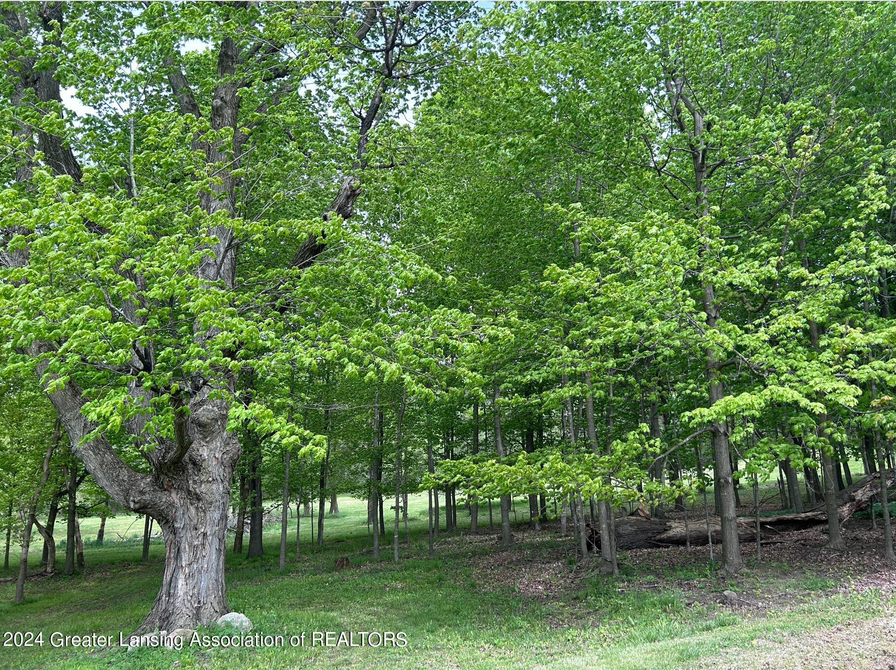 4884 West Plains Road Onondaga, MI 49264 - Photo 7 of 44 photo
