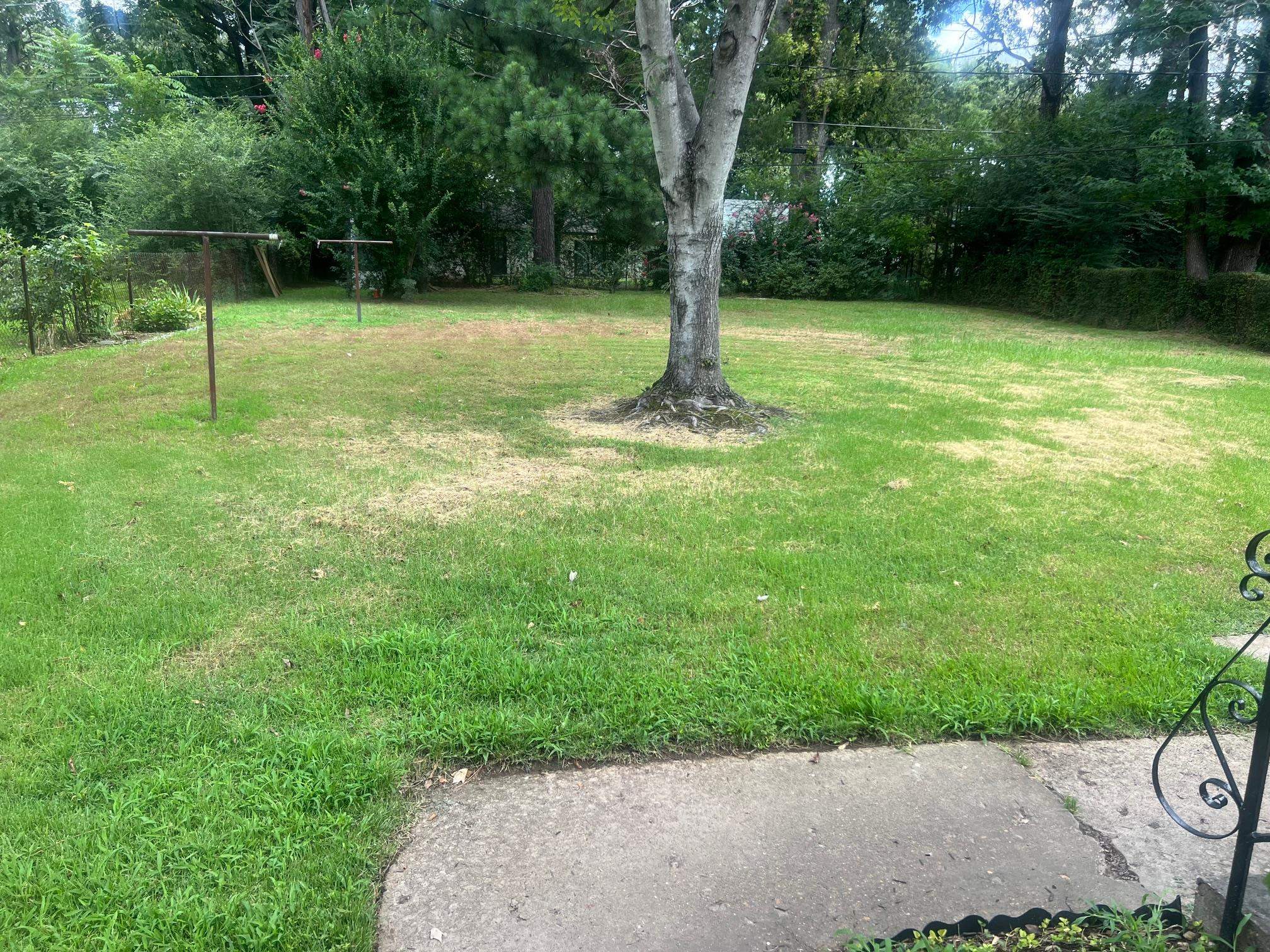 5048 Kaye Road Memphis, TN 38117 - Photo 18 of 19 a backyard of a house with lots of green space
