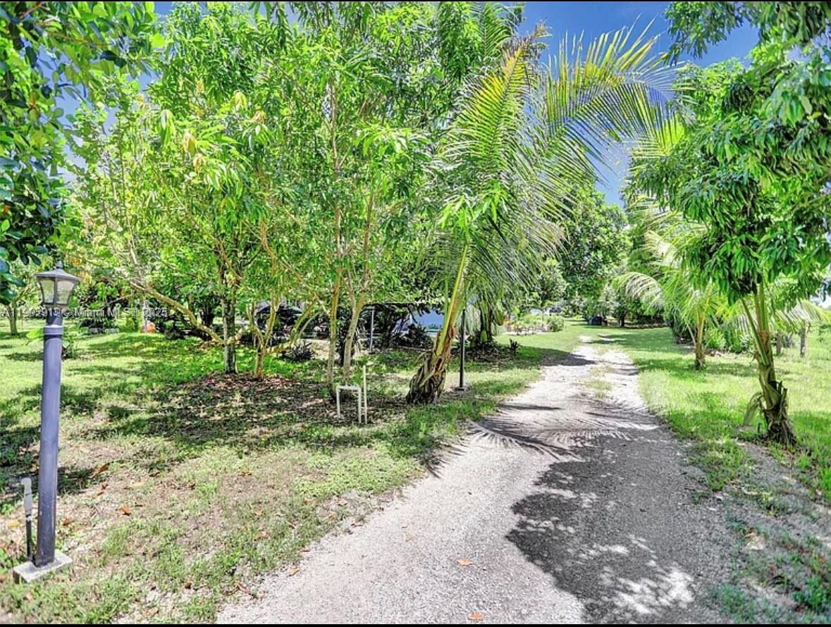 37225 Southwest 214th Avenue Homestead, FL 33034 - Photo 14 of 75 a view of a park with large trees