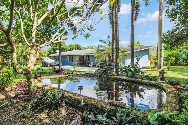 a view of a yard with plants and large trees