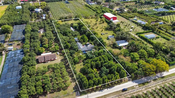a view of a park with a large trees
