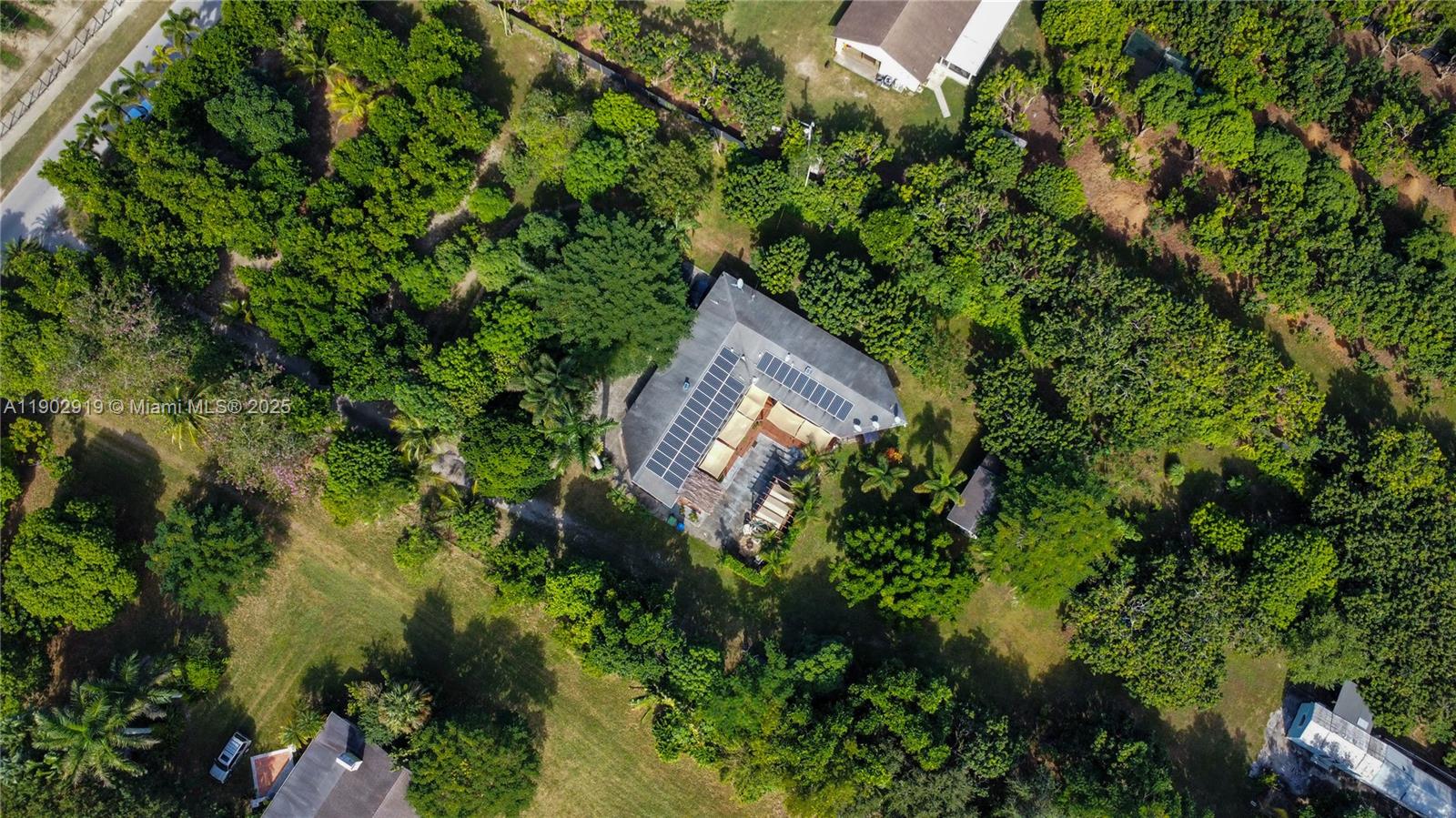 37225 Southwest 214th Avenue Homestead, FL 33034 - Photo 46 of 75 a view of a tree in a garden
