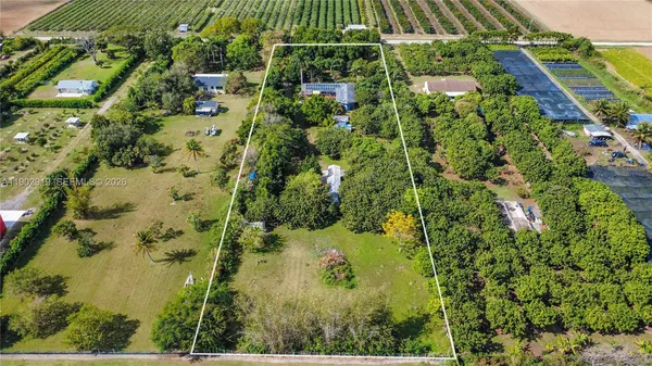 a view of a tree in the middle of a yard