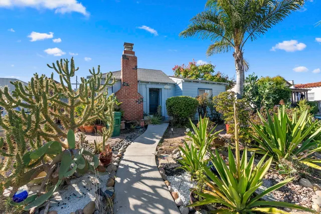 a view of a garden with plants