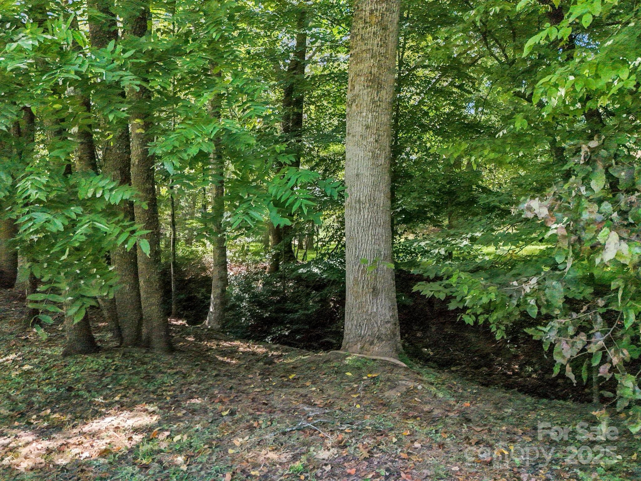282 Reagan Lane Bostic, NC 28018 - Photo 29 of 34 a view of a forest