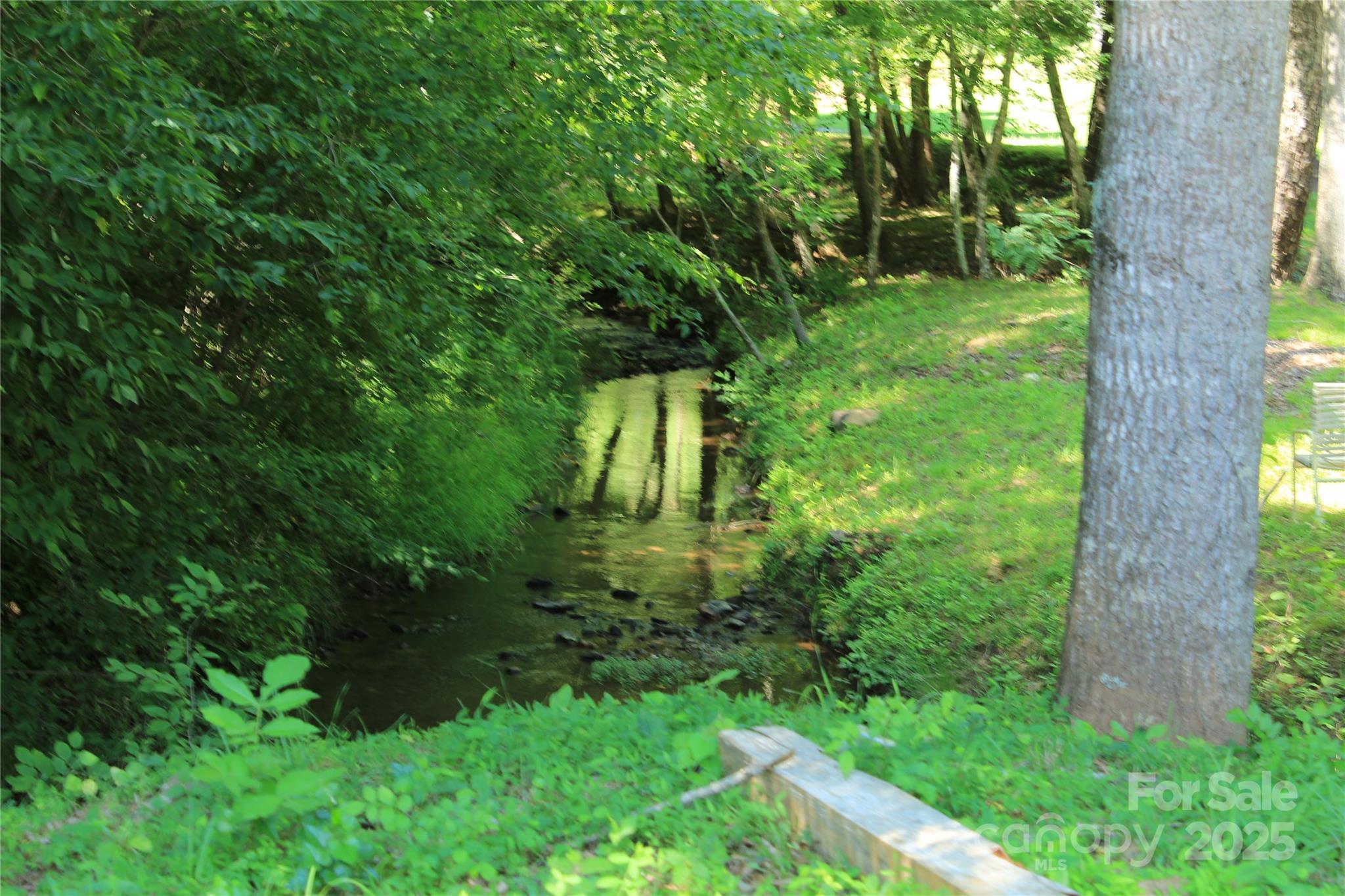 282 Reagan Lane Bostic, NC 28018 - Photo 30 of 34 a backyard of a house with lots of green space