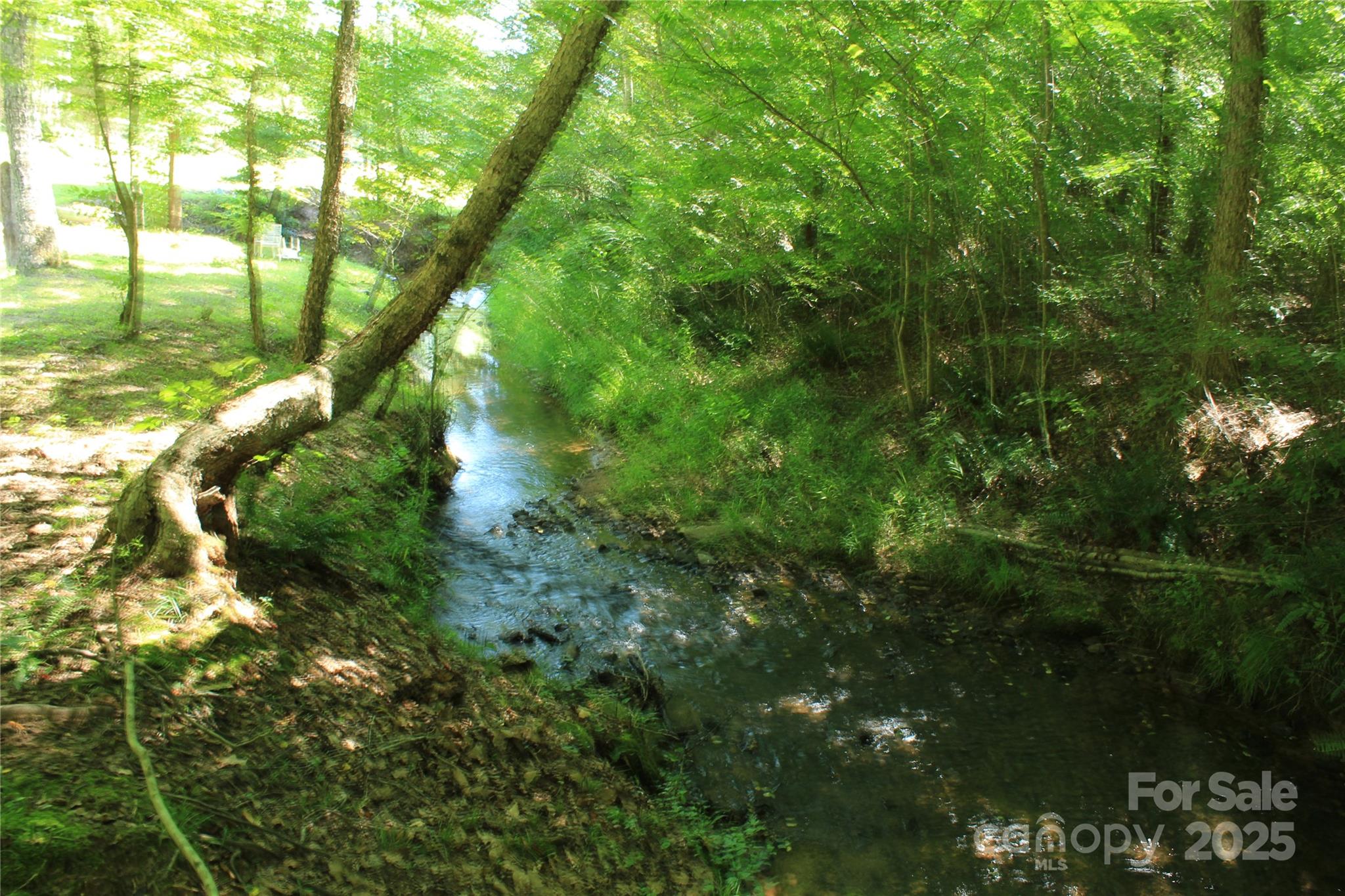 282 Reagan Lane Bostic, NC 28018 - Photo 31 of 34 a view of a tree