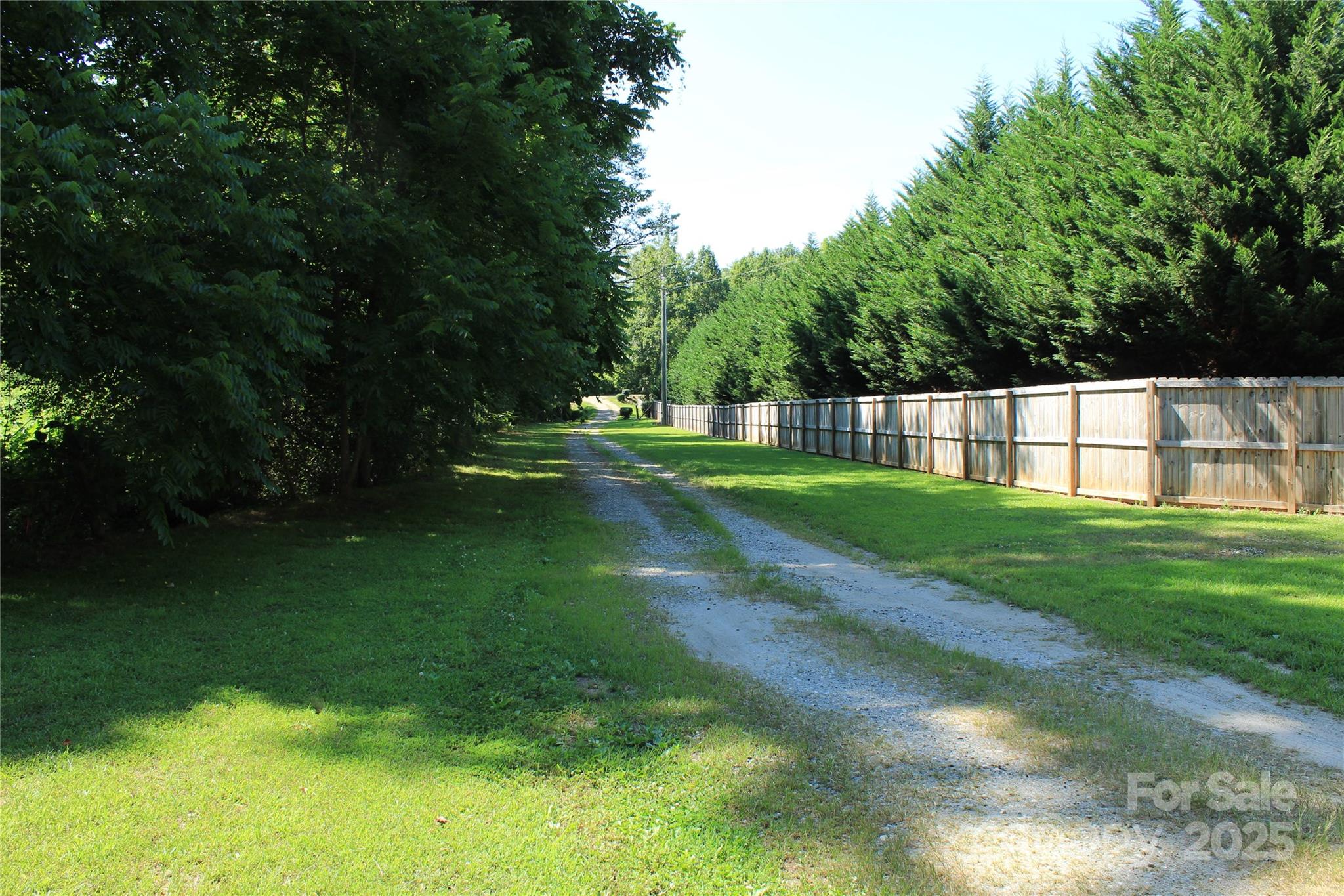 282 Reagan Lane Bostic, NC 28018 - Photo 33 of 34 a view of grassy field with grass and trees