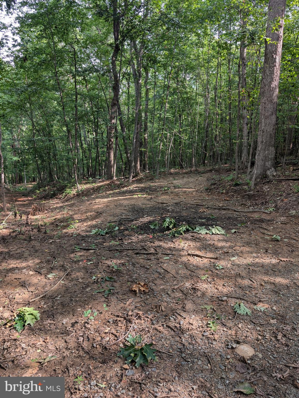Beahm Town Road Culpeper, VA 22701 - Photo 2 of 14 Gallery Image 2